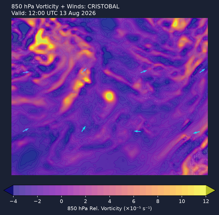 850hPa vorticity