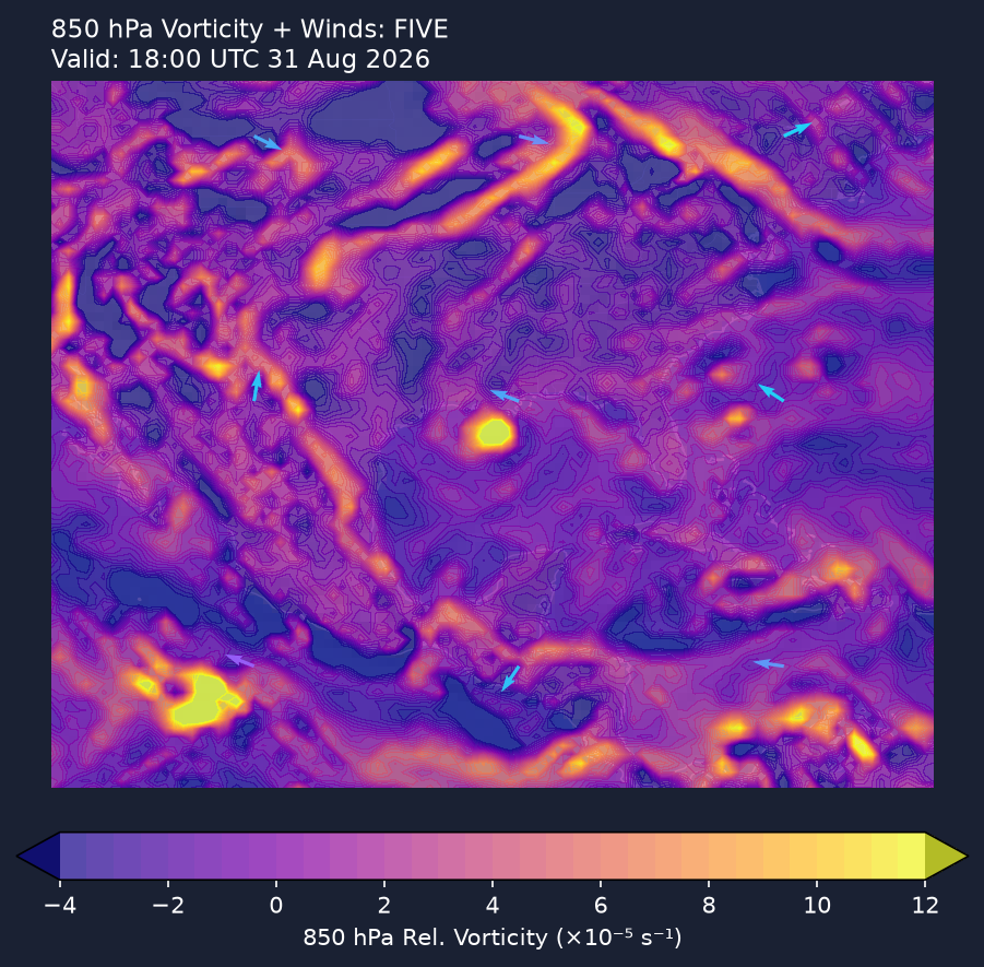 850hPa vorticity