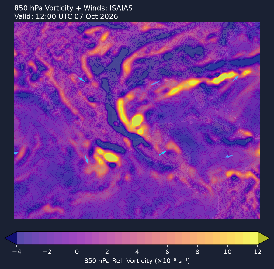 850hPa vorticity