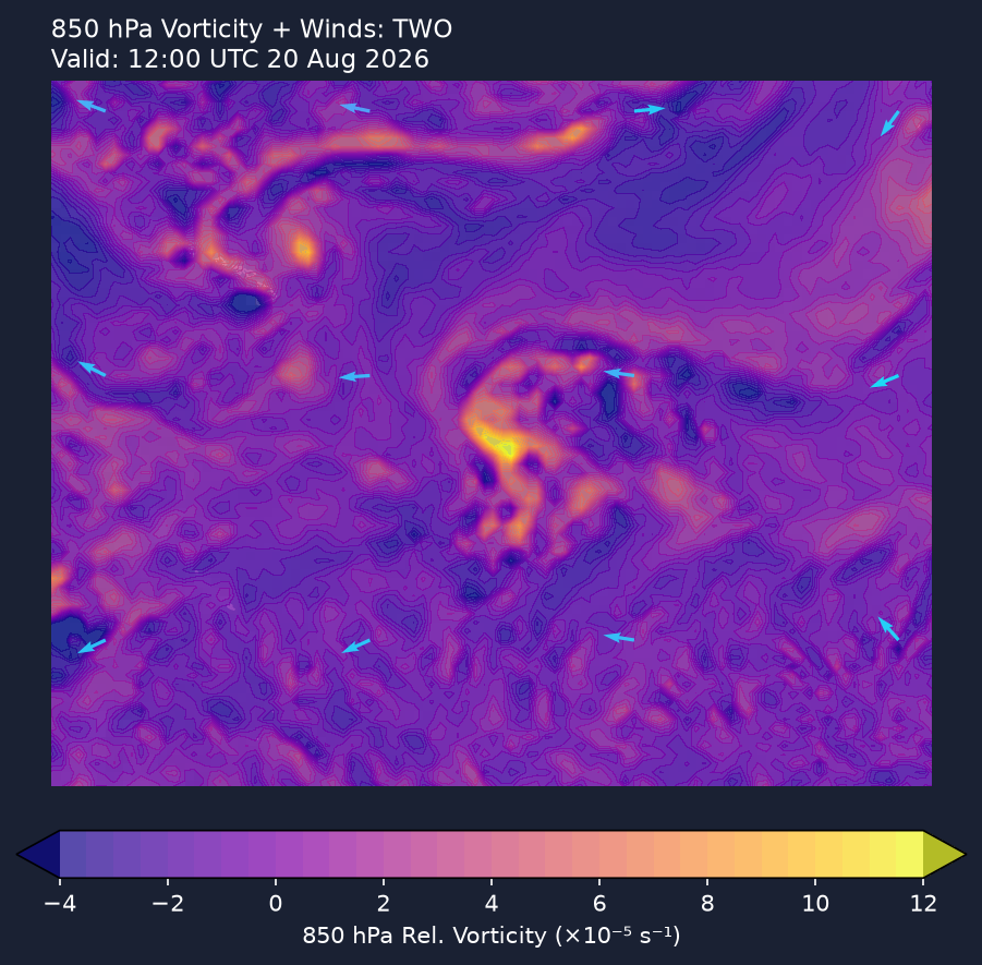 850hPa vorticity