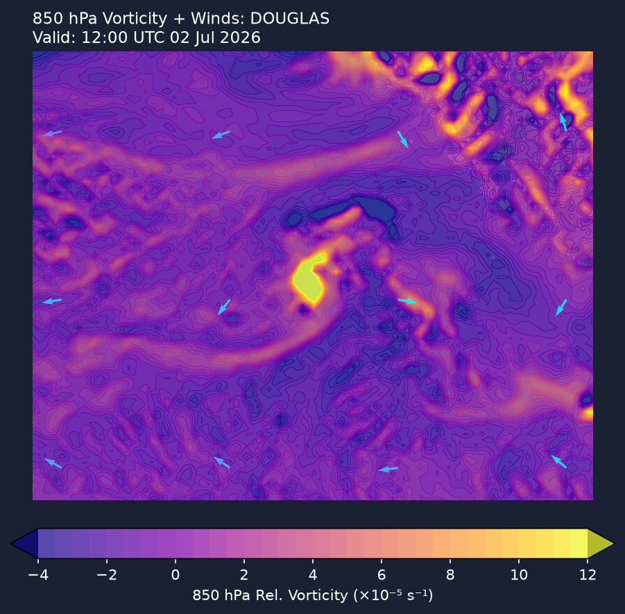 850hPa vorticity
