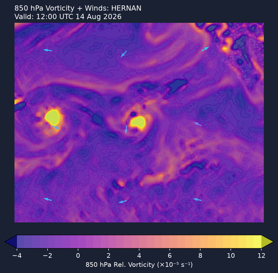 850hPa vorticity