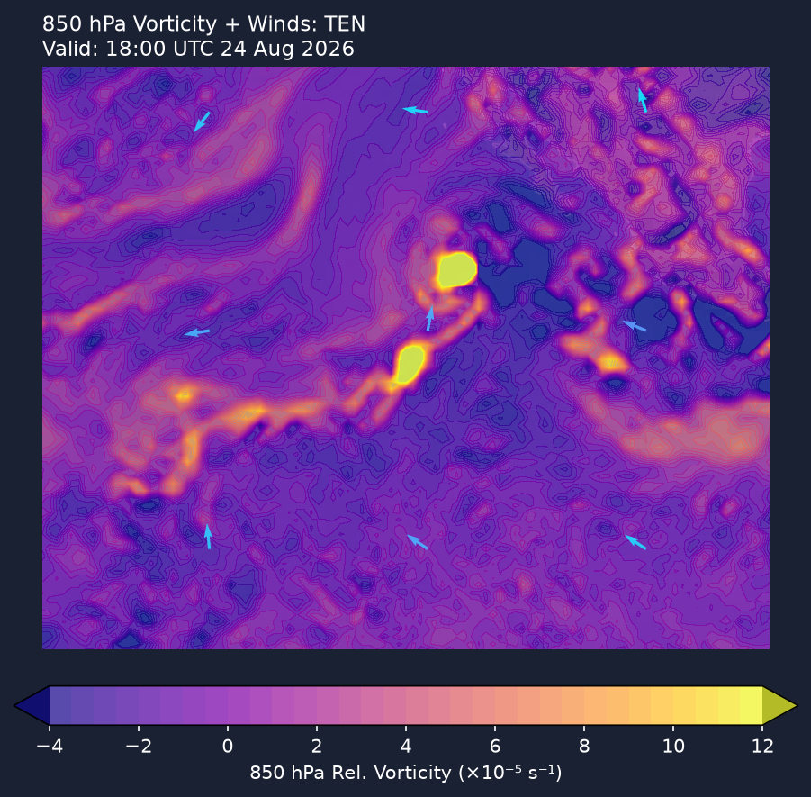 850hPa vorticity