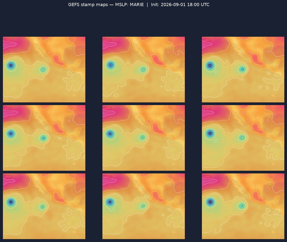 Ensemble stamp maps