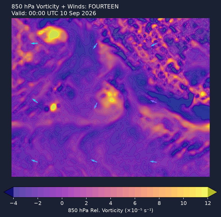 850hPa vorticity