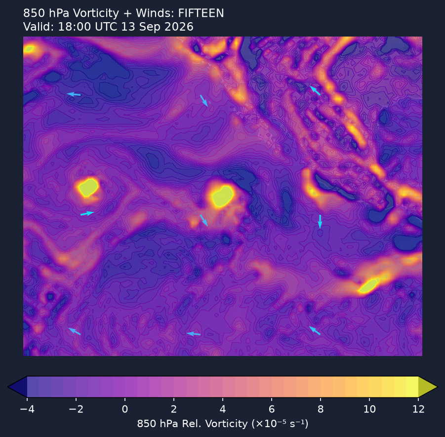 850hPa vorticity