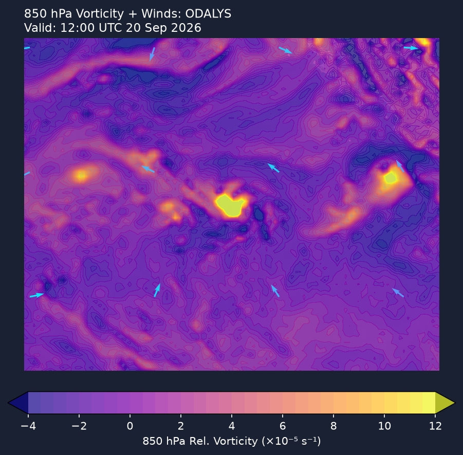 850hPa vorticity
