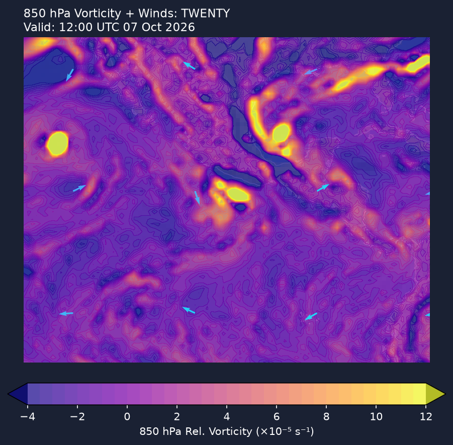 850hPa vorticity