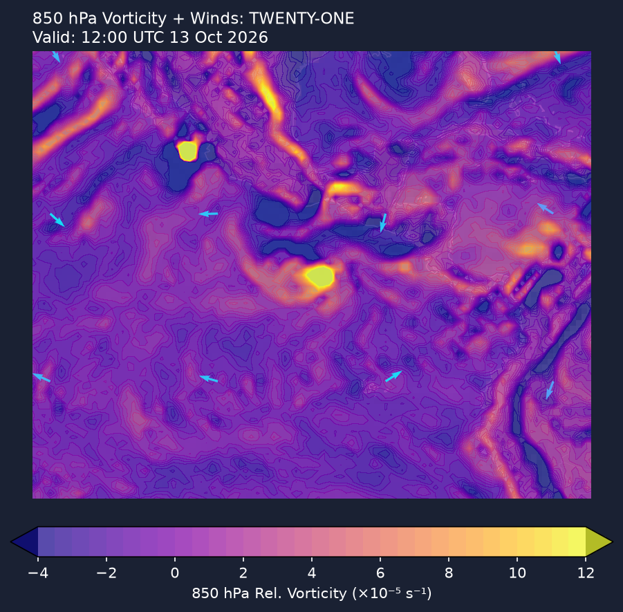 850hPa vorticity