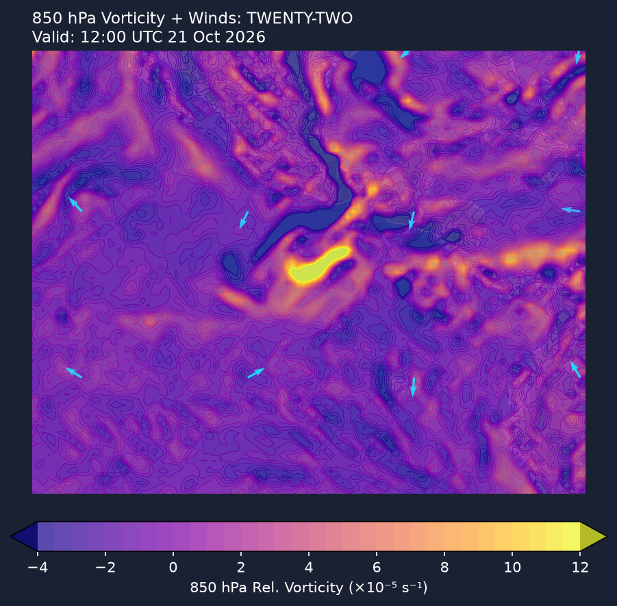850hPa vorticity